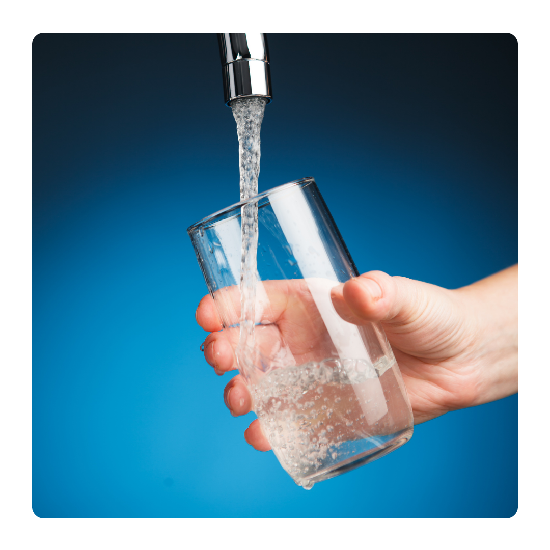 Everything You Need To Know About Tap & Bottled Water