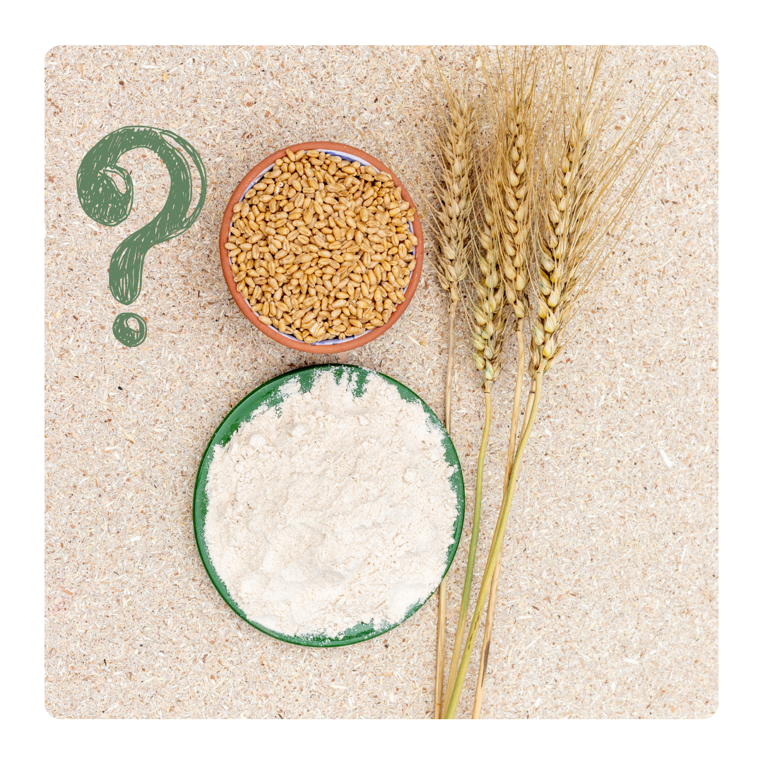 Just Cut Carbs and Lose Weight (not really)