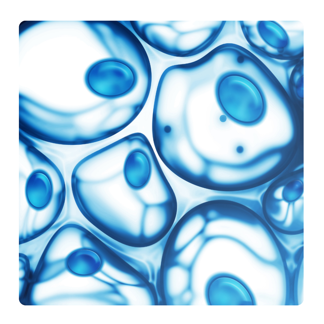 Understanding Stem Cells