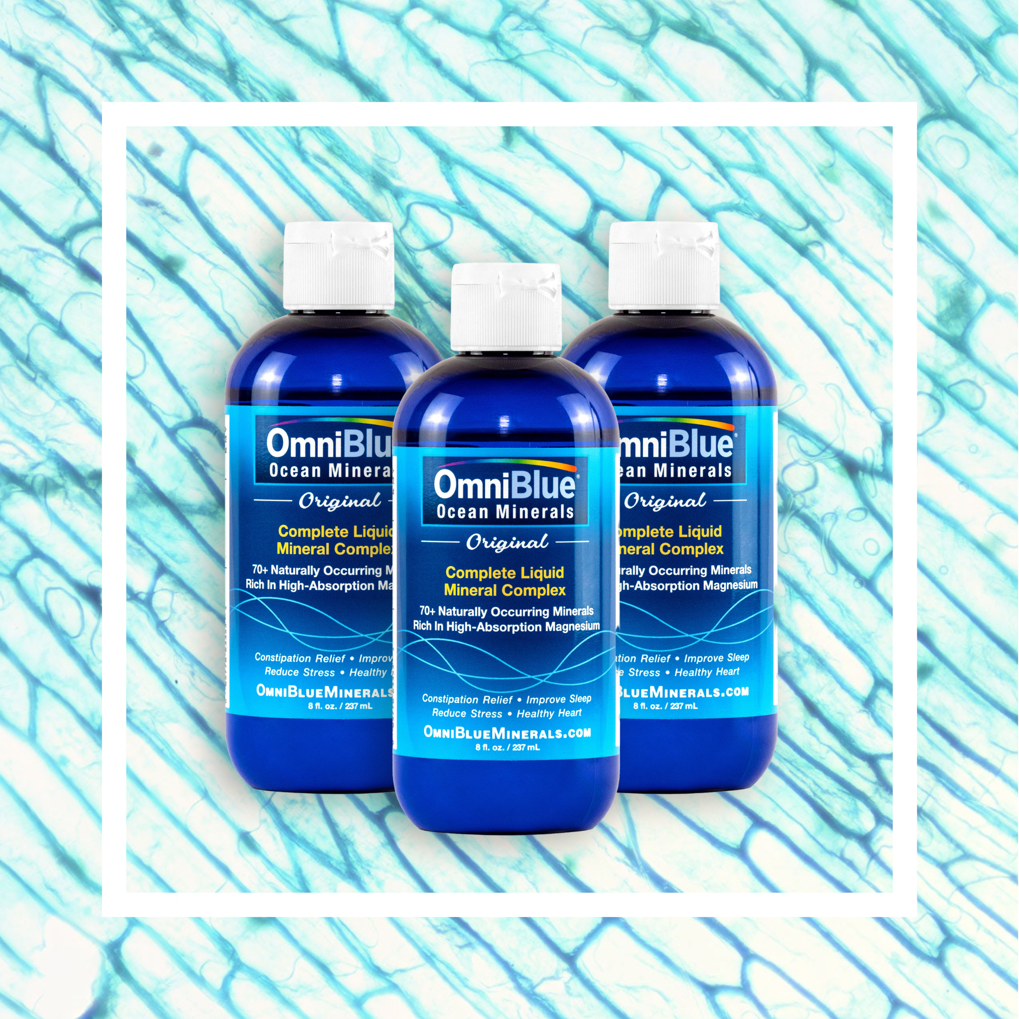 OmniBlue Triple Pack 8oz